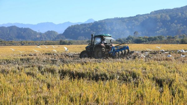 线上开户的证券公司 韩俊部长发文！强化科技装备支撑，加快推进种业振兴